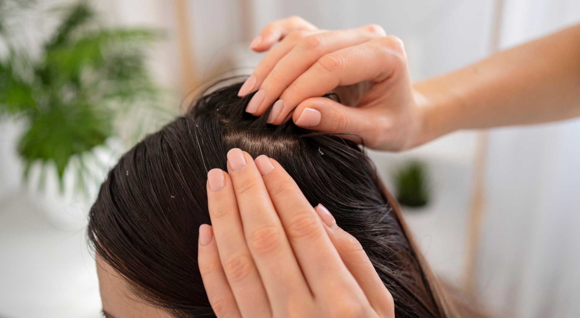 Oily Scalp vs Dry Scalp: How to Identify and Care for Your Scalp Type